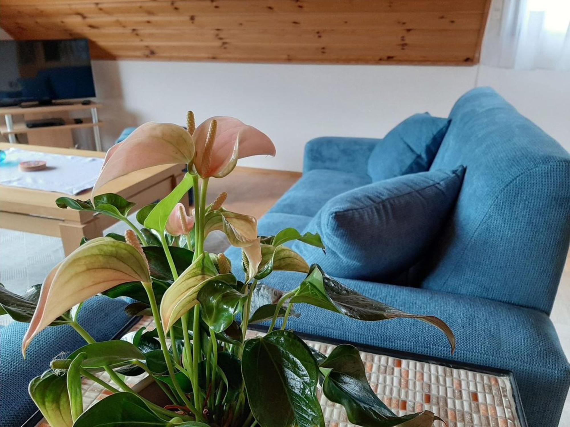 Ferienwohnung Am Patenberg Finnentrop Экстерьер фото